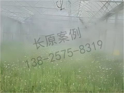 大棚養殖加濕